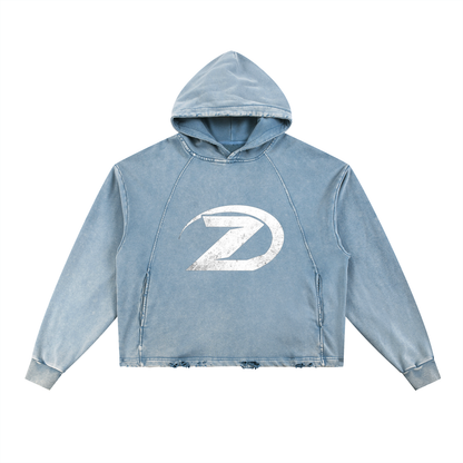 “Zoary” Light blue Hoodie